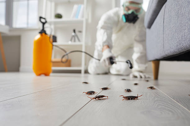 Commercial Kitchen Cockroach Control in Casper